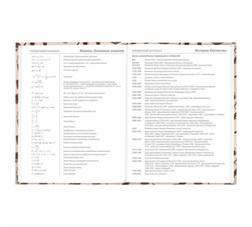 Дневник 5-11 класс 48 л., твердый, BRAUBERG, выборочный лак, с подсказом, 