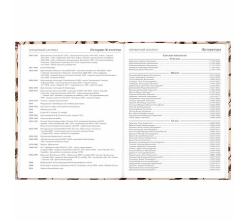 Дневник 5-11 класс 48 л., твердый, BRAUBERG, выборочный лак, с подсказом, 