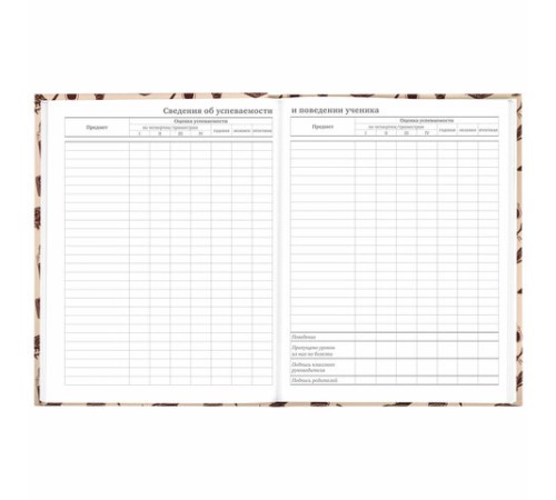 Дневник 5-11 класс 48 л., твердый, BRAUBERG, выборочный лак, с подсказом, 