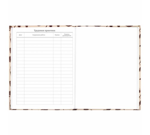 Дневник 5-11 класс 48 л., твердый, BRAUBERG, выборочный лак, с подсказом, 