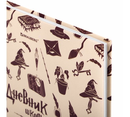 Дневник 5-11 класс 48 л., твердый, BRAUBERG, выборочный лак, с подсказом, 