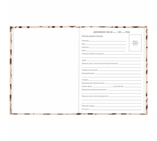 Дневник 5-11 класс 48 л., твердый, BRAUBERG, выборочный лак, с подсказом, 