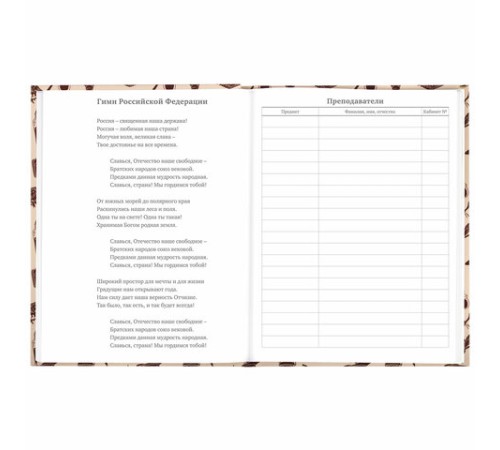 Дневник 5-11 класс 48 л., твердый, BRAUBERG, выборочный лак, с подсказом, 