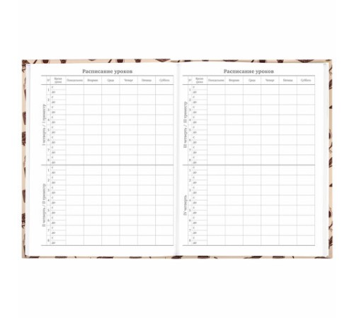 Дневник 5-11 класс 48 л., твердый, BRAUBERG, выборочный лак, с подсказом, 