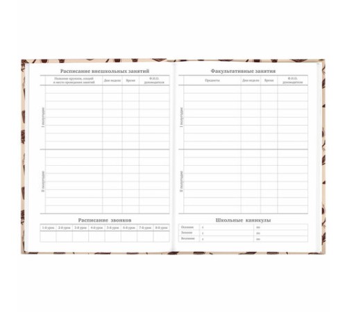 Дневник 5-11 класс 48 л., твердый, BRAUBERG, выборочный лак, с подсказом, 