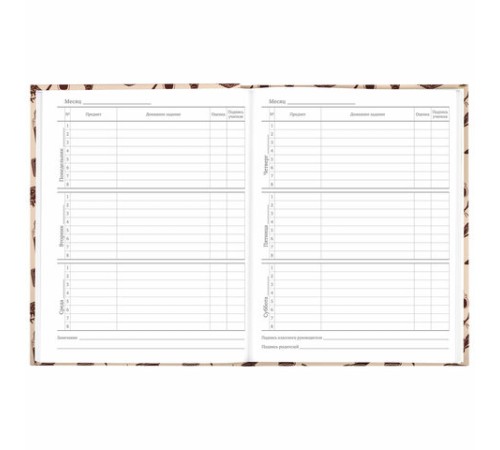 Дневник 5-11 класс 48 л., твердый, BRAUBERG, выборочный лак, с подсказом, 