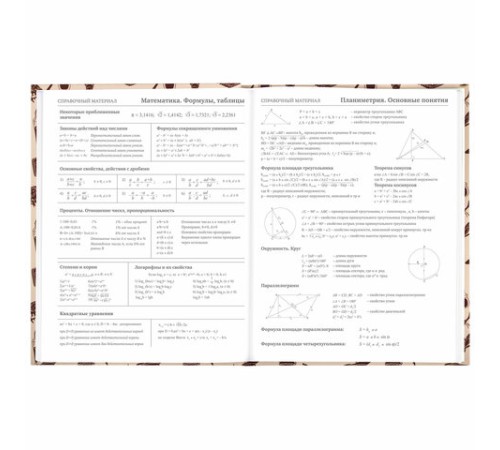 Дневник 5-11 класс 48 л., твердый, BRAUBERG, выборочный лак, с подсказом, 