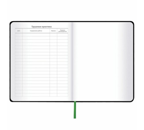 Дневник 1-11 класс 48 л., кожзам (твердая с поролоном), флуоресцентный, BRAUBERG, 