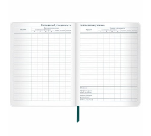 Дневник 1-11 класс 48 л., кожзам (гибкая), термотиснение, фольга, BRAUBERG, 