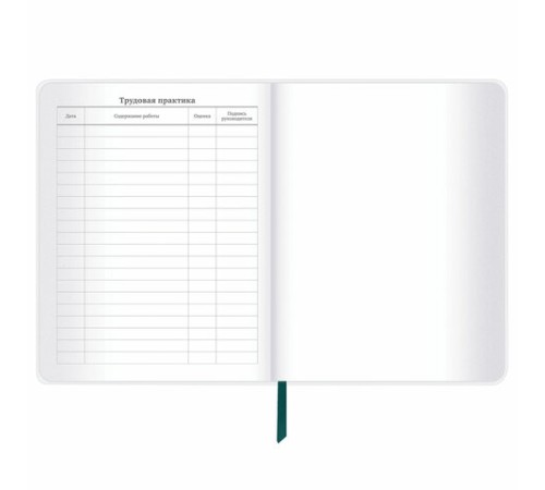 Дневник 1-11 класс 48 л., кожзам (гибкая), термотиснение, фольга, BRAUBERG, 