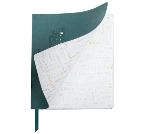 Дневник 1-11 класс 48 л., кожзам (гибкая), термотиснение, фольга, BRAUBERG, 