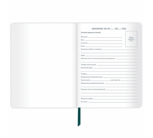 Дневник 1-11 класс 48 л., кожзам (гибкая), термотиснение, фольга, BRAUBERG, 