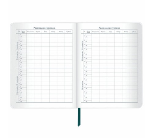 Дневник 1-11 класс 48 л., кожзам (гибкая), термотиснение, фольга, BRAUBERG, 