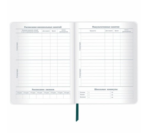 Дневник 1-11 класс 48 л., кожзам (гибкая), термотиснение, фольга, BRAUBERG, 