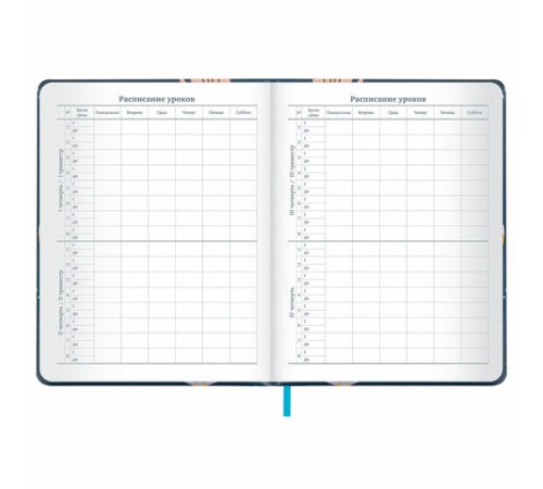 Дневник 1-11 класс 48 л., кожзам (твердая с поролоном), печать, наклейки, BRAUBERG, 