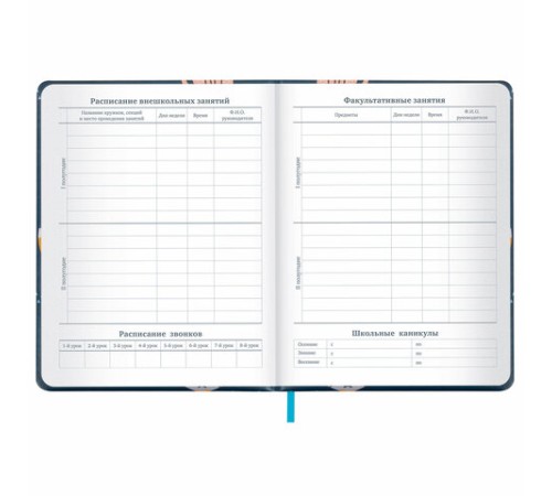 Дневник 1-11 класс 48 л., кожзам (твердая с поролоном), печать, наклейки, BRAUBERG, 