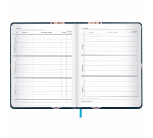 Дневник 1-11 класс 48 л., кожзам (твердая с поролоном), печать, наклейки, BRAUBERG, 