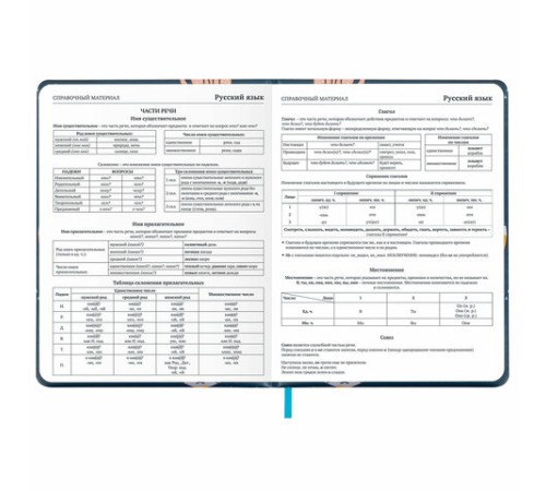 Дневник 1-11 класс 48 л., кожзам (твердая с поролоном), печать, наклейки, BRAUBERG, 