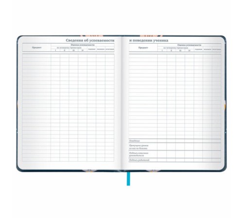 Дневник 1-11 класс 48 л., кожзам (твердая с поролоном), печать, наклейки, BRAUBERG, 