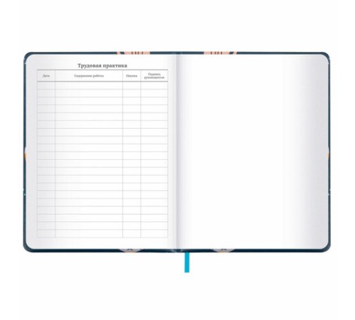 Дневник 1-11 класс 48 л., кожзам (твердая с поролоном), печать, наклейки, BRAUBERG, 