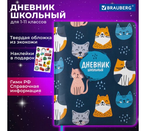 Дневник 1-11 класс 48 л., кожзам (твердая с поролоном), печать, наклейки, BRAUBERG, 