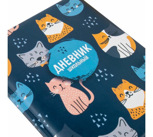 Дневник 1-11 класс 48 л., кожзам (твердая с поролоном), печать, наклейки, BRAUBERG, 