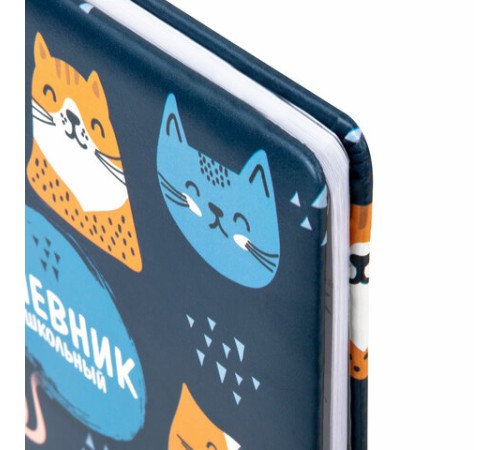 Дневник 1-11 класс 48 л., кожзам (твердая с поролоном), печать, наклейки, BRAUBERG, 