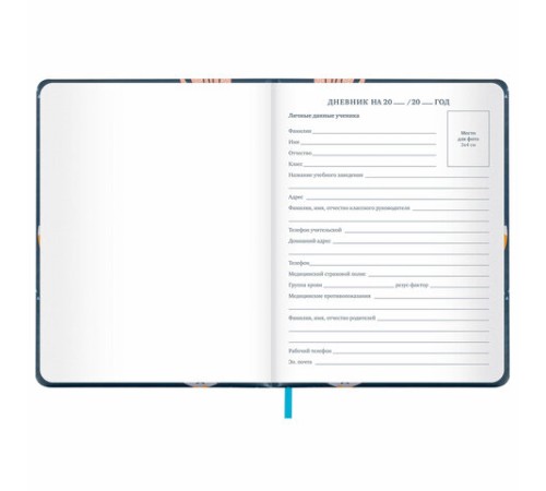 Дневник 1-11 класс 48 л., кожзам (твердая с поролоном), печать, наклейки, BRAUBERG, 