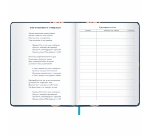 Дневник 1-11 класс 48 л., кожзам (твердая с поролоном), печать, наклейки, BRAUBERG, 