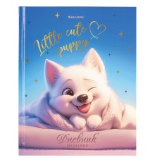 Дневник 1-4 класс 48 л., твердый, BRAUBERG, глянцевая ламинация, с подсказом, 