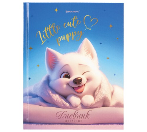 Дневник 1-4 класс 48 л., твердый, BRAUBERG, глянцевая ламинация, с подсказом, 