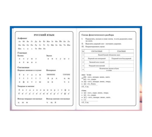 Дневник 1-4 класс 48 л., твердый, BRAUBERG, глянцевая ламинация, с подсказом, 