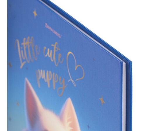 Дневник 1-4 класс 48 л., твердый, BRAUBERG, глянцевая ламинация, с подсказом, 