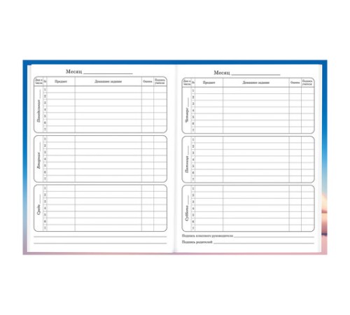 Дневник 1-4 класс 48 л., твердый, BRAUBERG, глянцевая ламинация, с подсказом, 