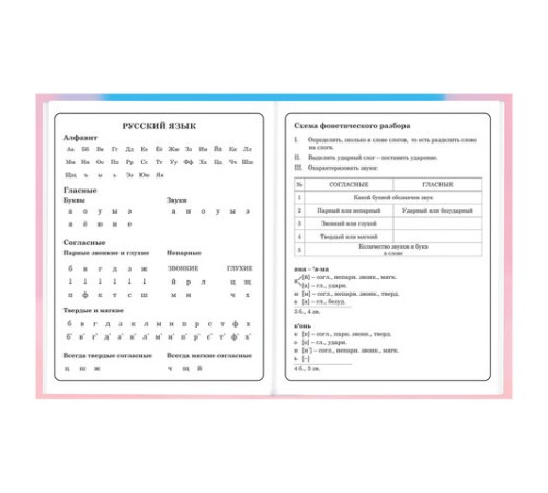 Дневник 1-4 класс 48 л., твердый, BRAUBERG, выборочный лак, с подсказом, 