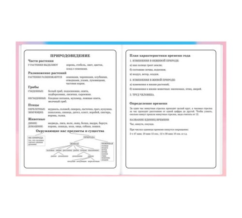 Дневник 1-4 класс 48 л., твердый, BRAUBERG, выборочный лак, с подсказом, 