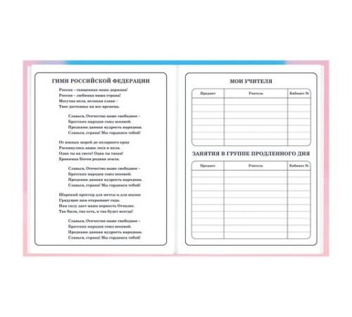 Дневник 1-4 класс 48 л., твердый, BRAUBERG, выборочный лак, с подсказом, 