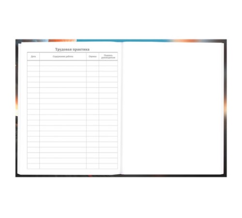 Дневник 5-11 класс 48 л., твердый, BRAUBERG, глянцевая ламинация, с подсказом, 