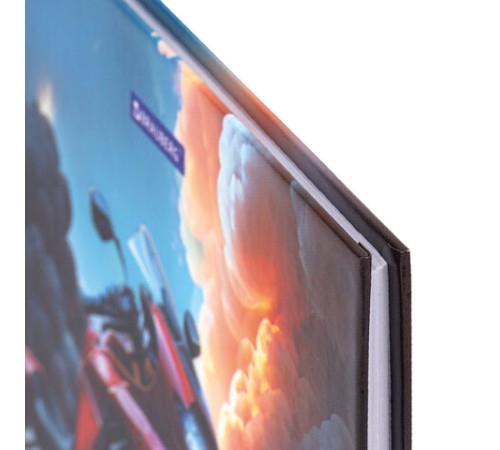 Дневник 5-11 класс 48 л., твердый, BRAUBERG, глянцевая ламинация, с подсказом, 