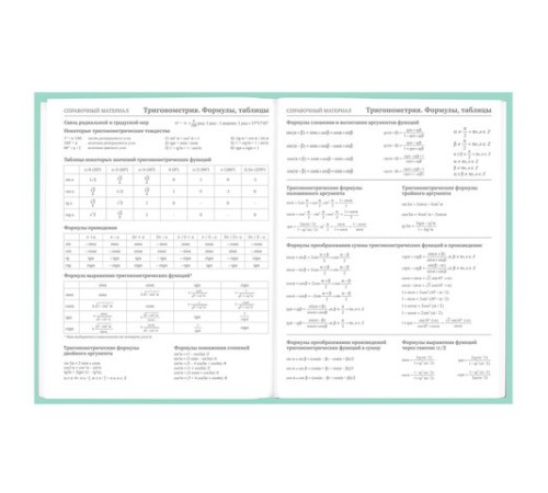 Дневник 5-11 класс 48 л., твердый, BRAUBERG, фольга, с подсказом, 