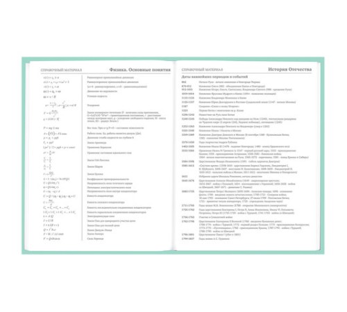 Дневник 5-11 класс 48 л., твердый, BRAUBERG, фольга, с подсказом, 