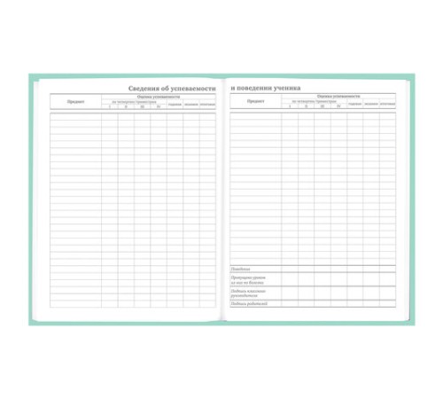 Дневник 5-11 класс 48 л., твердый, BRAUBERG, фольга, с подсказом, 