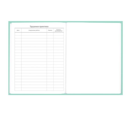 Дневник 5-11 класс 48 л., твердый, BRAUBERG, фольга, с подсказом, 