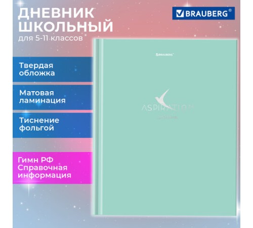 Дневник 5-11 класс 48 л., твердый, BRAUBERG, фольга, с подсказом, 