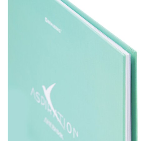 Дневник 5-11 класс 48 л., твердый, BRAUBERG, фольга, с подсказом, 