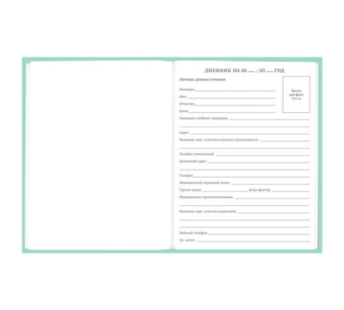 Дневник 5-11 класс 48 л., твердый, BRAUBERG, фольга, с подсказом, 