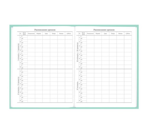 Дневник 5-11 класс 48 л., твердый, BRAUBERG, фольга, с подсказом, 