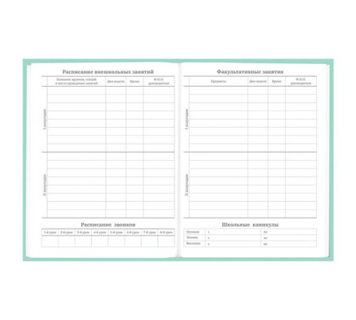 Дневник 5-11 класс 48 л., твердый, BRAUBERG, фольга, с подсказом, 