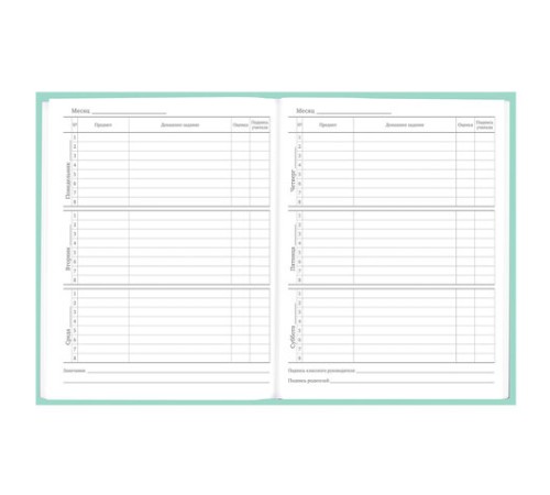 Дневник 5-11 класс 48 л., твердый, BRAUBERG, фольга, с подсказом, 