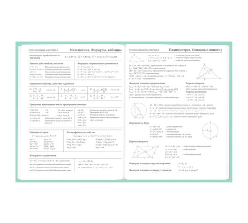 Дневник 5-11 класс 48 л., твердый, BRAUBERG, фольга, с подсказом, 
